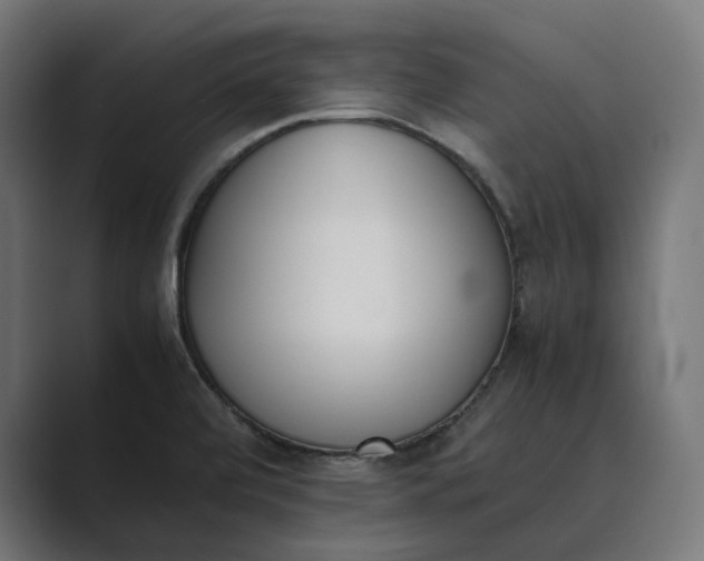 X0000089401472200706291358