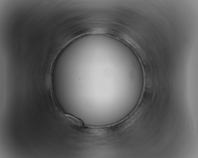 X0000089401473200706291358