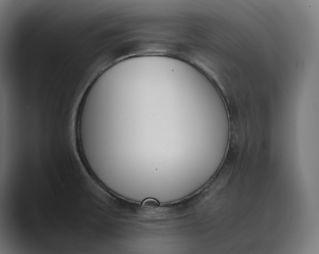 X0000089401475200706291358