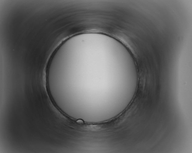 X0000089401476200706291358