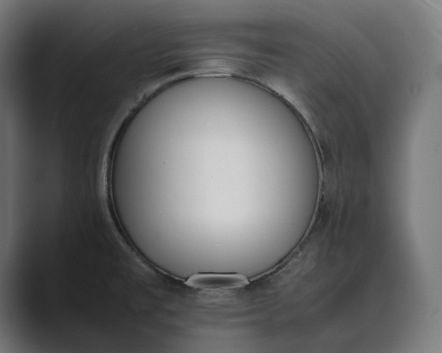 X0000089401477200706291358