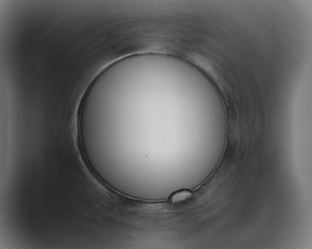 X0000089401479200706291358