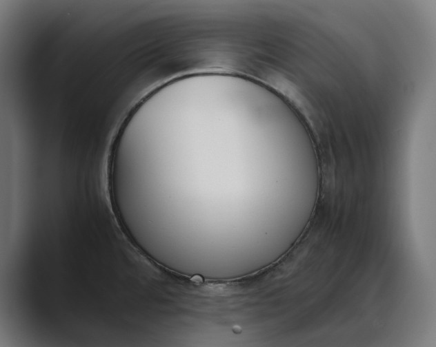 X0000089401480200706291358