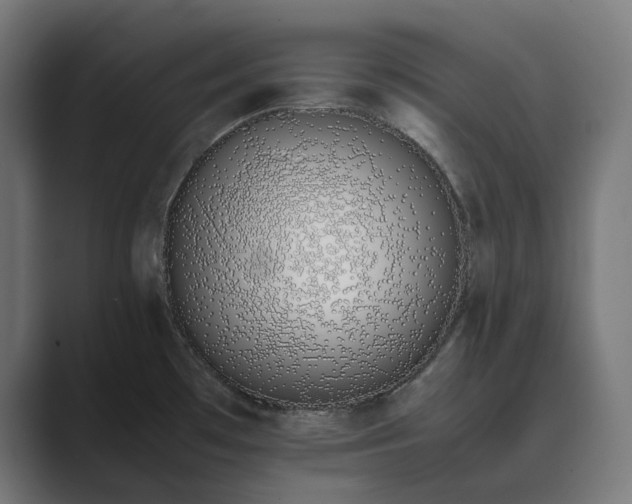 X0000089401481200706291358