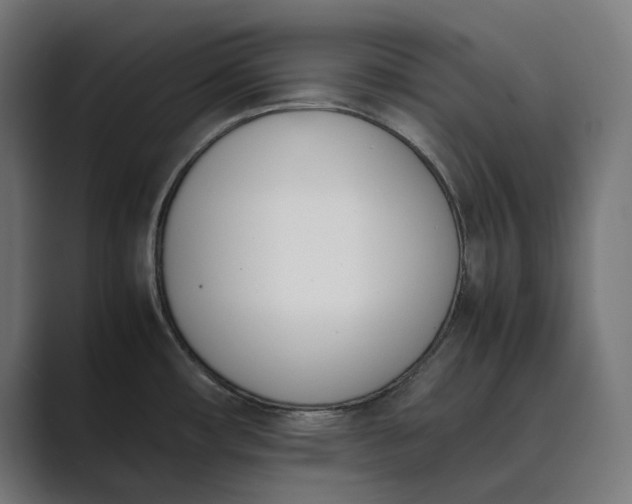 X0000089401482200706291358