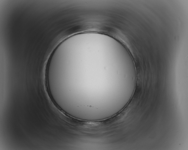 X0000089401483200706291358