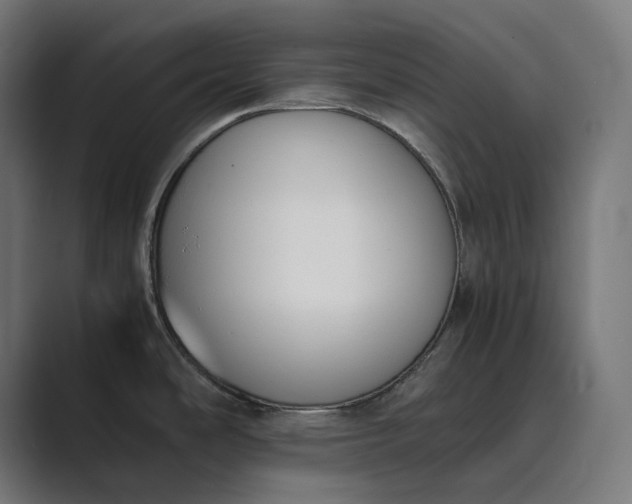 X0000089401486200706291358