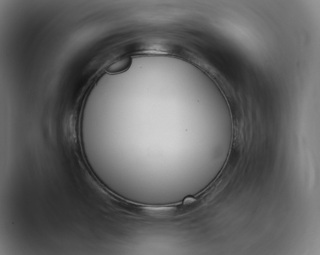 X0000089401487200706291358