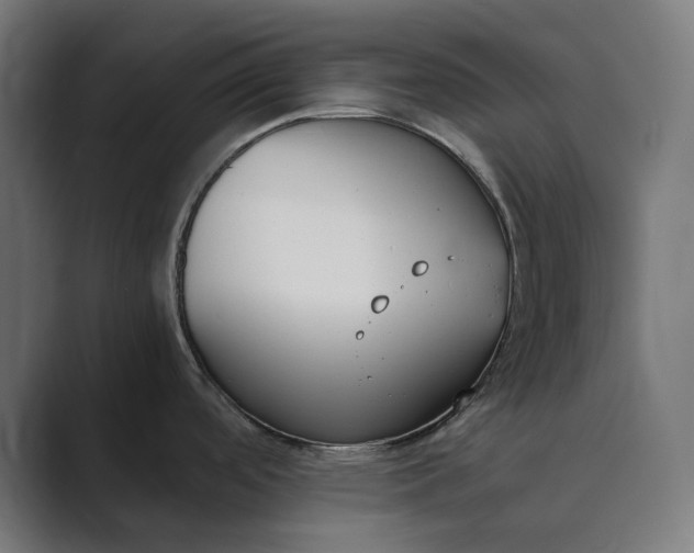 X0000089401488200706291358