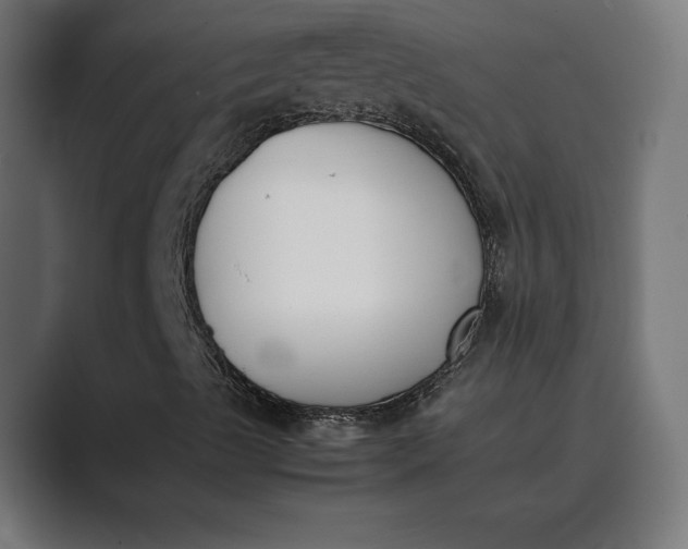 X0000089401489200706291358