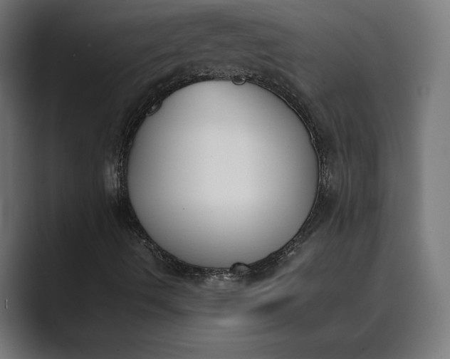 X0000089401490200706291358