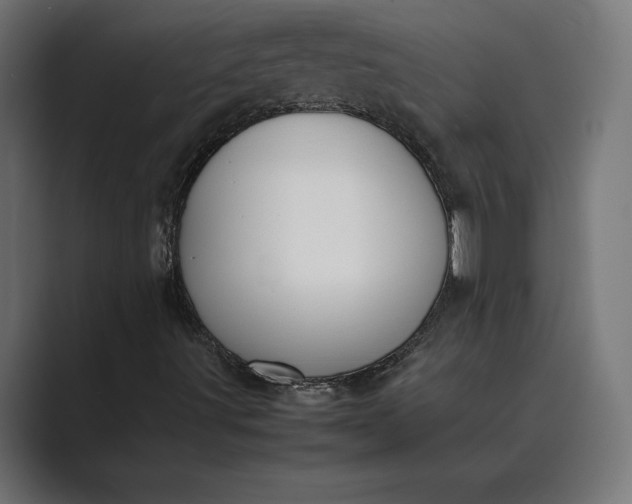 X0000089401491200706291358