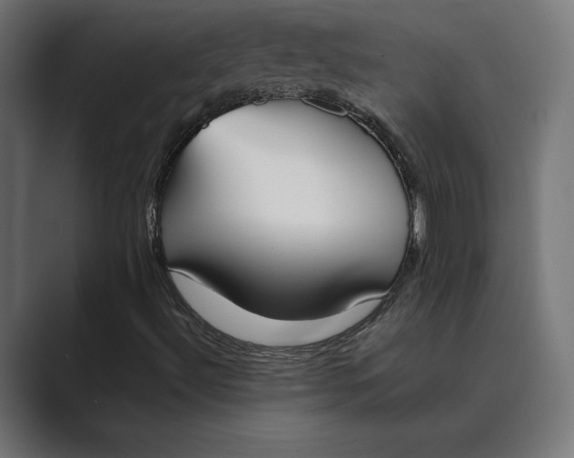 X0000089401492200706291358