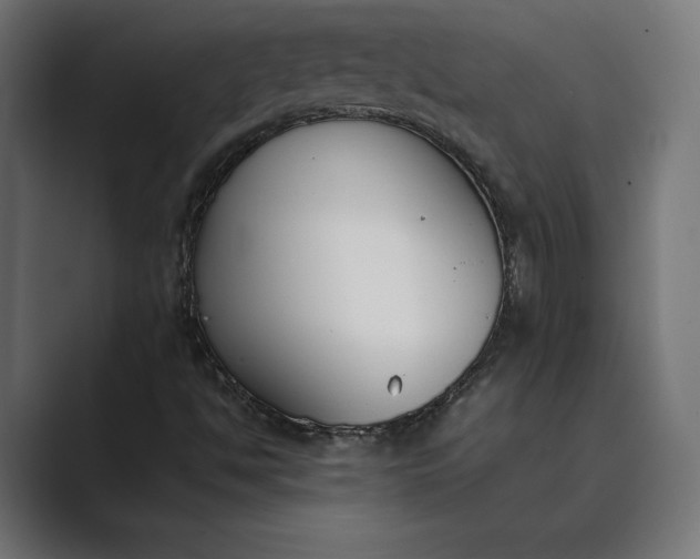 X0000089401494200706291358