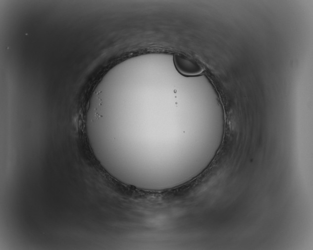 X0000089401495200706291358