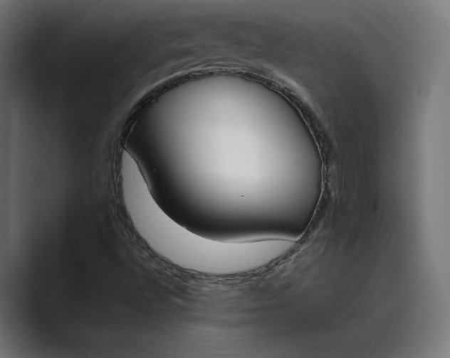 X0000089401496200706291358