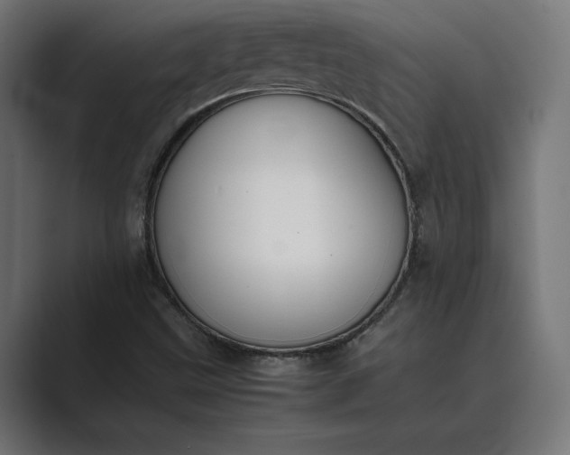 X0000089401499200706291358