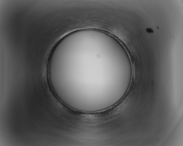 X0000089401500200706291358