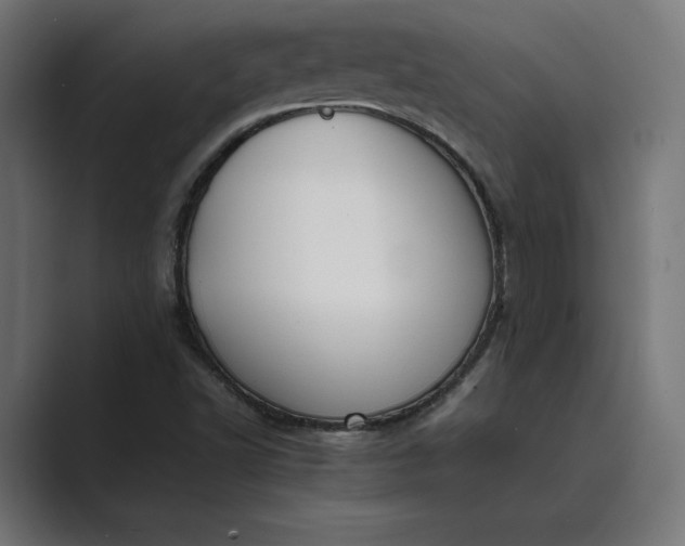 X0000089401502200706291358