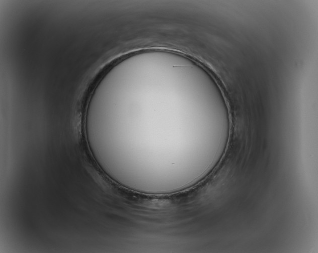 X0000089401503200706291358