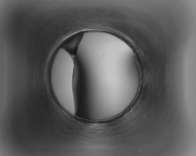 X0000089401506200706291358