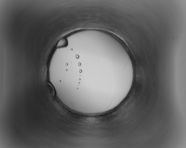 X0000089401507200706291358