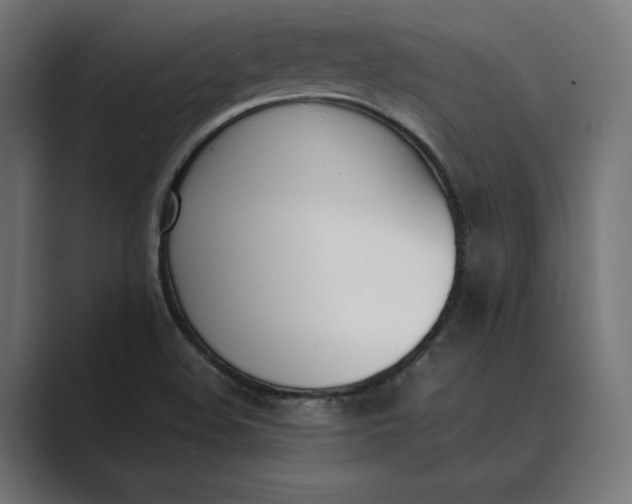 X0000089401508200706291358