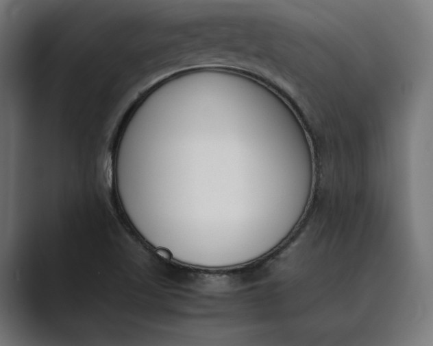 X0000089401509200706291358