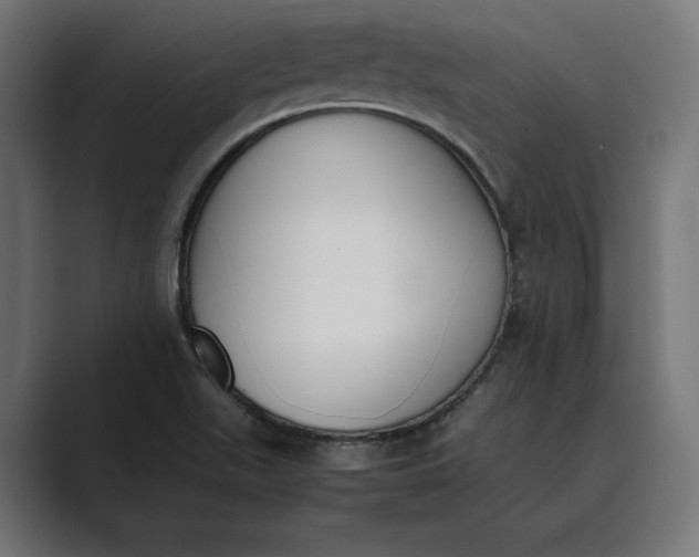 X0000089401511200706291358