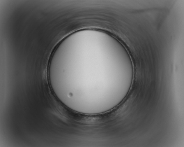 X0000089401513200706291358