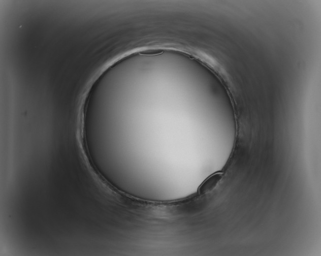 X0000089401520200706291358