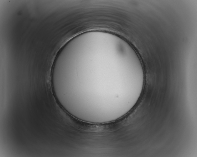 X0000089401521200706291358