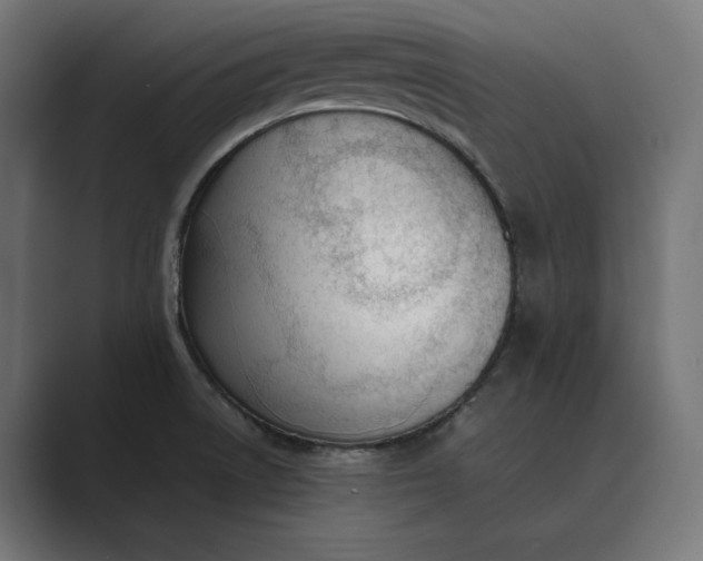 X0000089401522200706291358