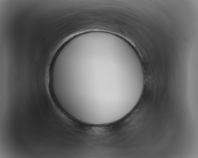 X0000089401523200706291358