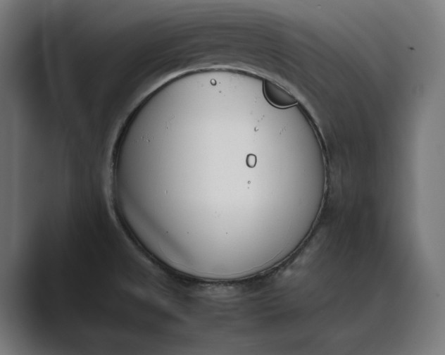 X0000089401525200706291358