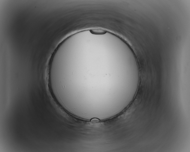 X0000089401526200706291358