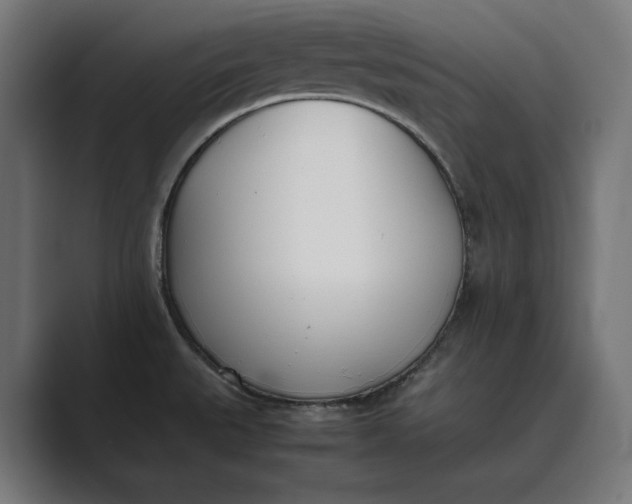 X0000089401527200706291358