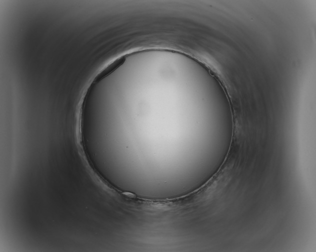 X0000089401528200706291358