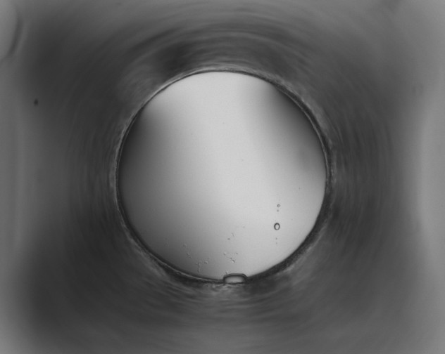 X0000089401529200706291358