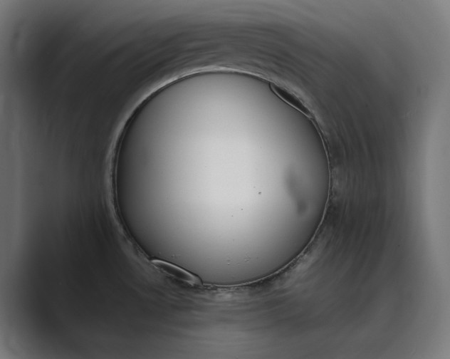 X0000089401530200706291358