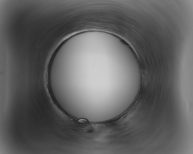 X0000089401531200706291358