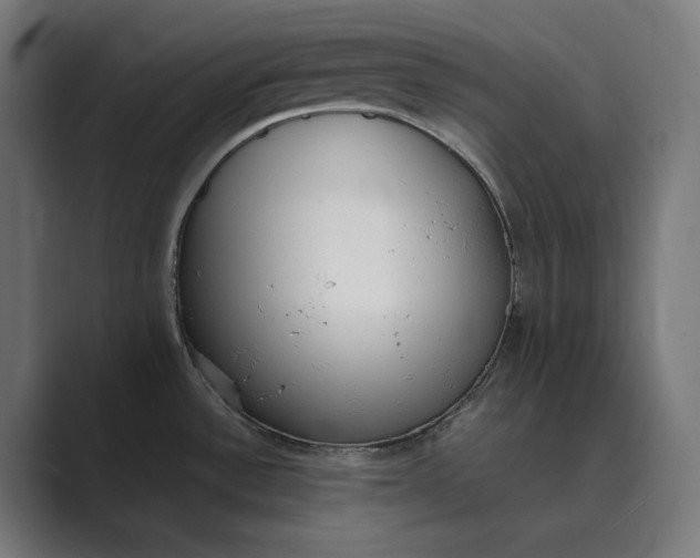 X0000089401532200706291358