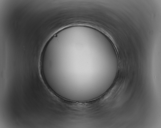 X0000089401533200706291358