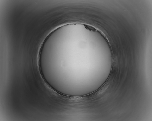 X0000089401535200706291358