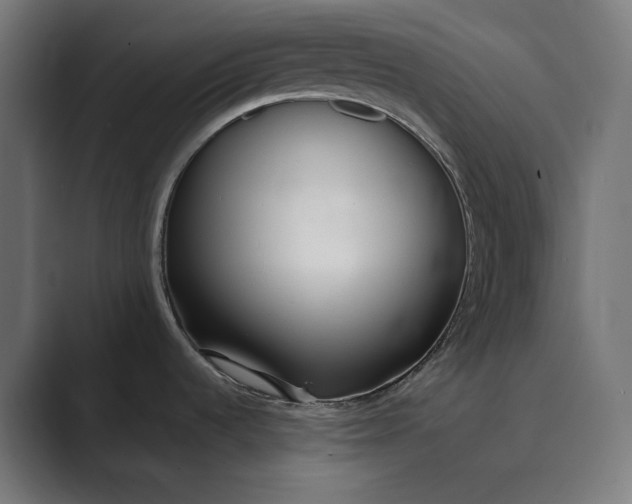 X0000089401536200706291358