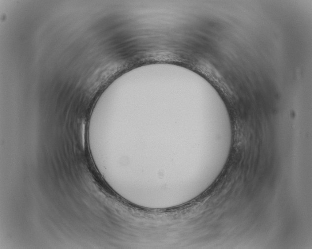 X0000089400014200707061240