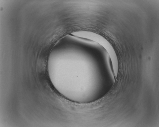 X0000089400039200707061239