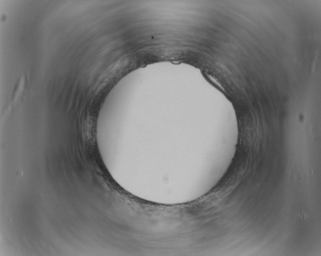 X0000089400044200707061239