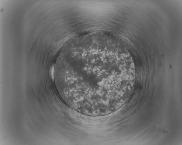 X0000089400047200707061239