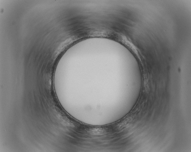X0000089400059200707061239